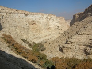 rock canyon