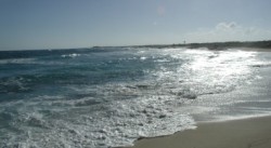 waves on a beach